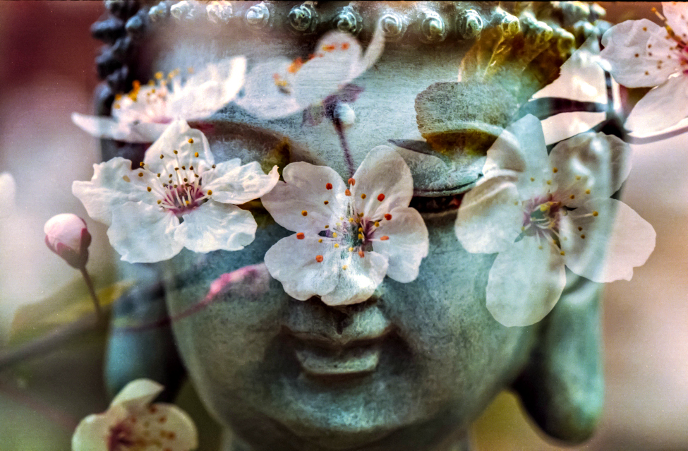 Buddha statue - The Benefits of Mindfulness with Christy Cassisa by WealthChoice